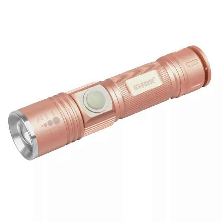 Mini LED Fənər Anahtarlık Gündəlik İstifadə Düşərgə üçün Parlaq LED